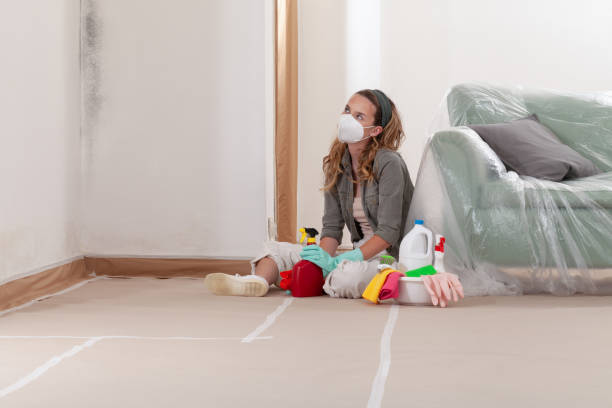 Reliable Mold Removal contractor in Ebensburg, PA by WQB Mold Removal